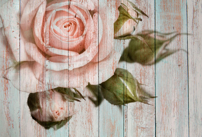 Фотообои Роза на фоне дерева