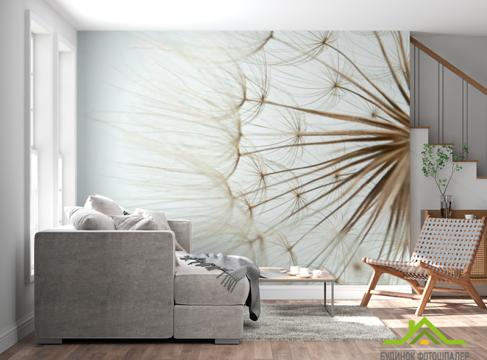 выбрать Фотообои Крупный план одуванчиков Фотообои Одуванчики на стену