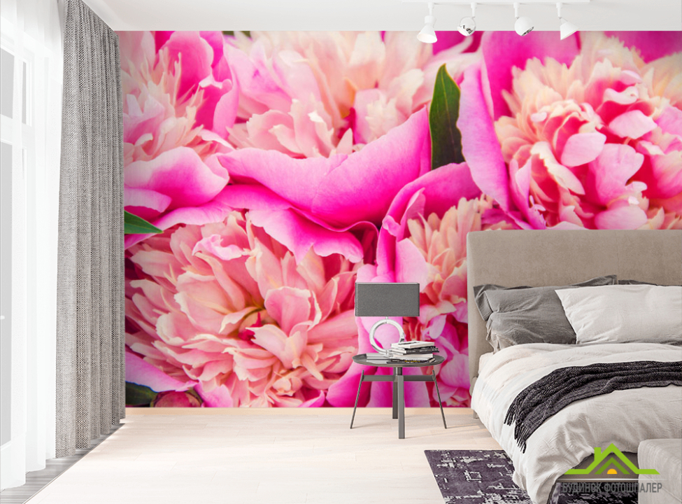 выбрать Фотообои Ярко розовые пионы Фотообои Цветы на стену