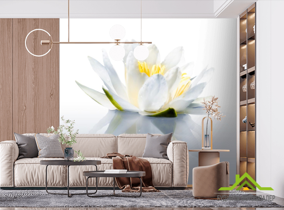 выбрать Фотошпалери водяна лілія Фотошпалери Квіти на стіну