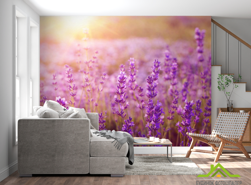 выбрать Фотообои поле цветочков Фотообои Цветы на стену