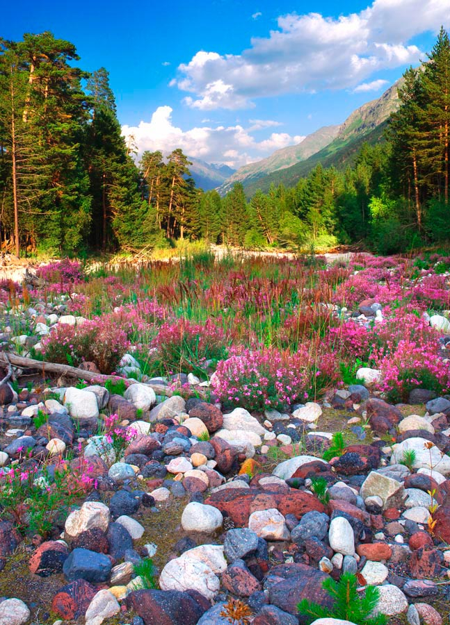 Фотошпалери Каміння