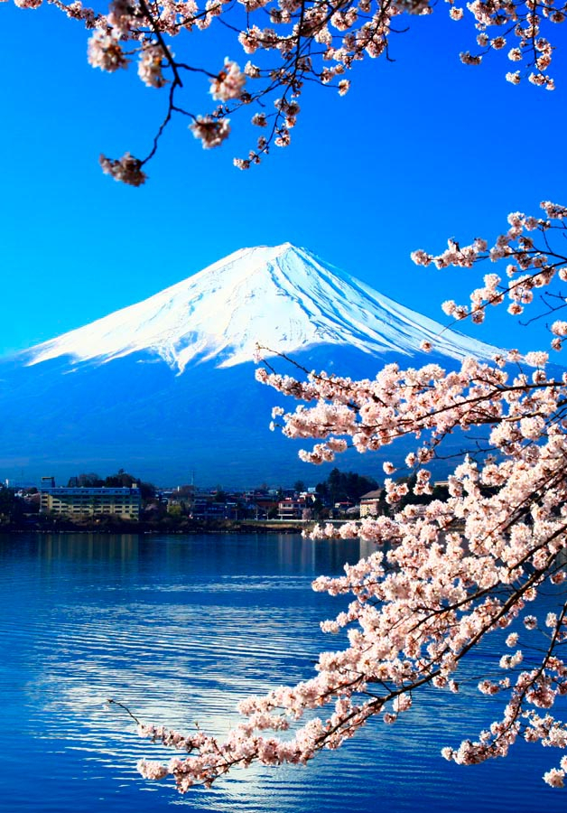 Фотообои Вода,гора, цвет