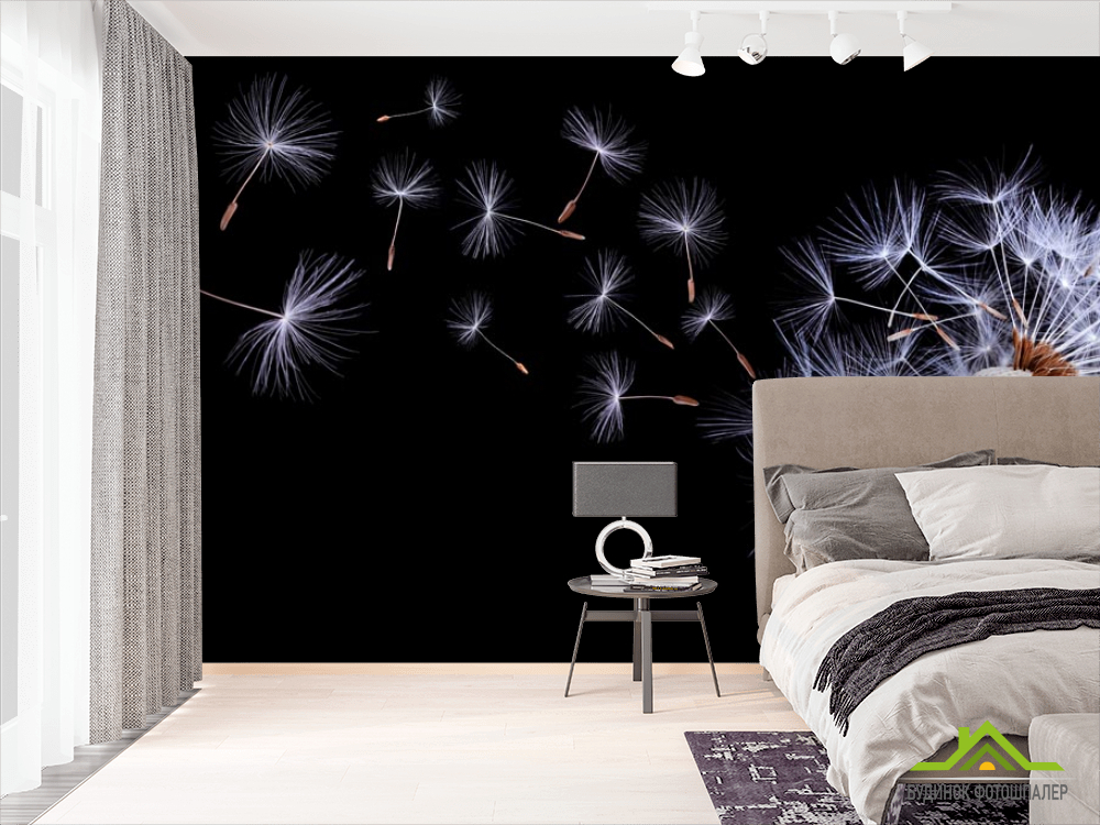 Фотообои ветер дует на одуванчик