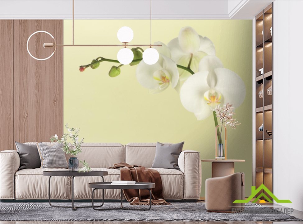 выбрать Фотообои белая орхидея на бежевом фоне Фотообои Цветы на стену