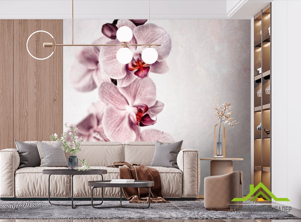 выбрать Фотообои Серенькие орхидеи Фотообои Орхидеи на стену