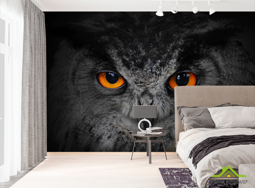 выбрать Фотошпалери сова Фотошпалери різні на стіну