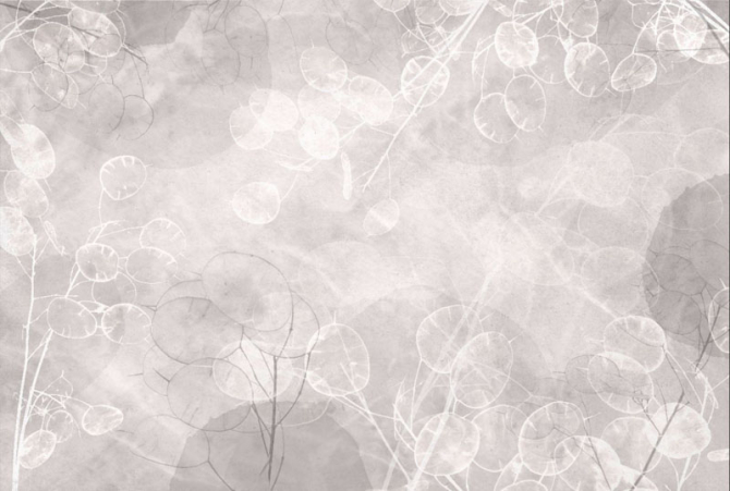 Фотообои Сухоцветы дизайнерские бежевые