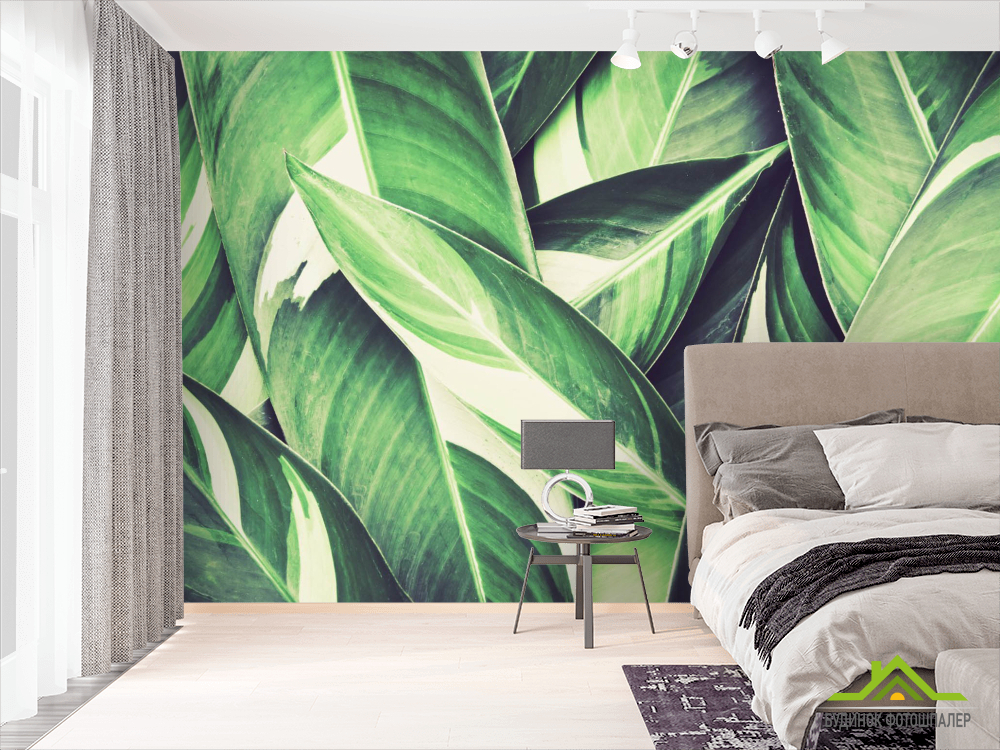 Фотошпалери зелене листя
