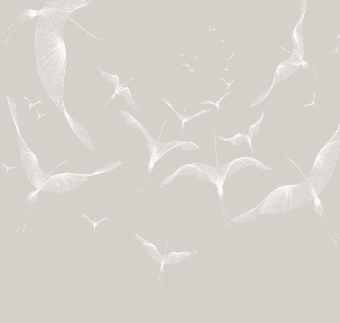 Фотошпалери птиці на сірому фоні