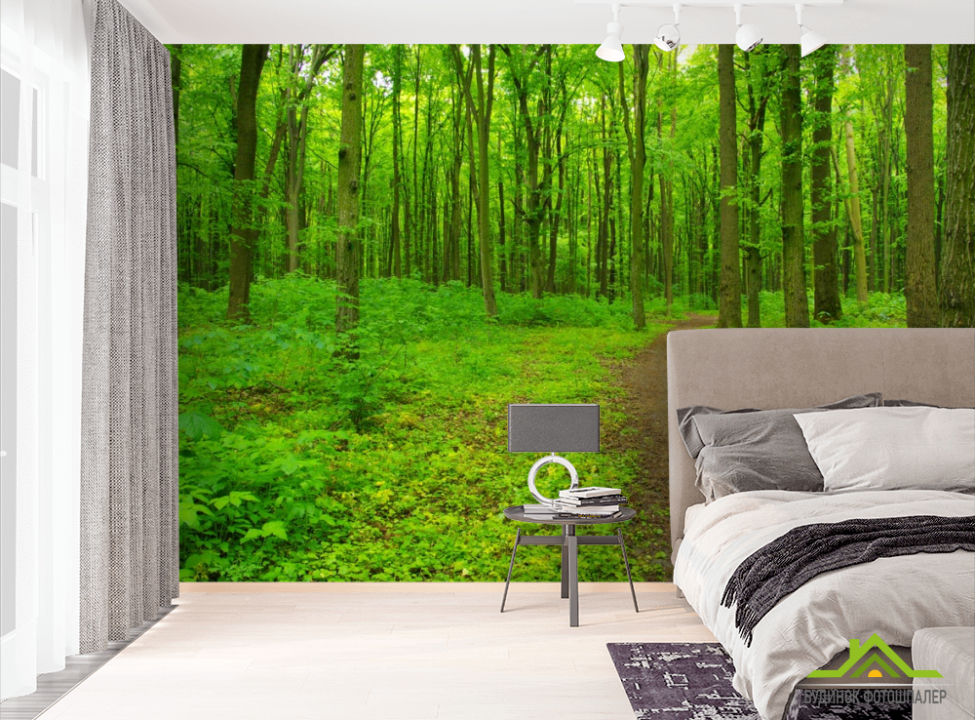 выбрать Фотошпалери яскраво-зелений ліс Фотошпалери Природа на стіну