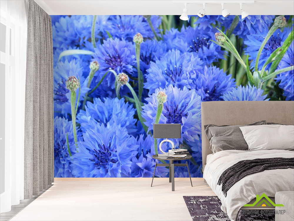 Фотообои Голубые васильки