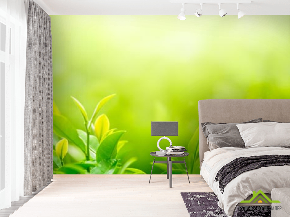 Фотообои зеленые росточки