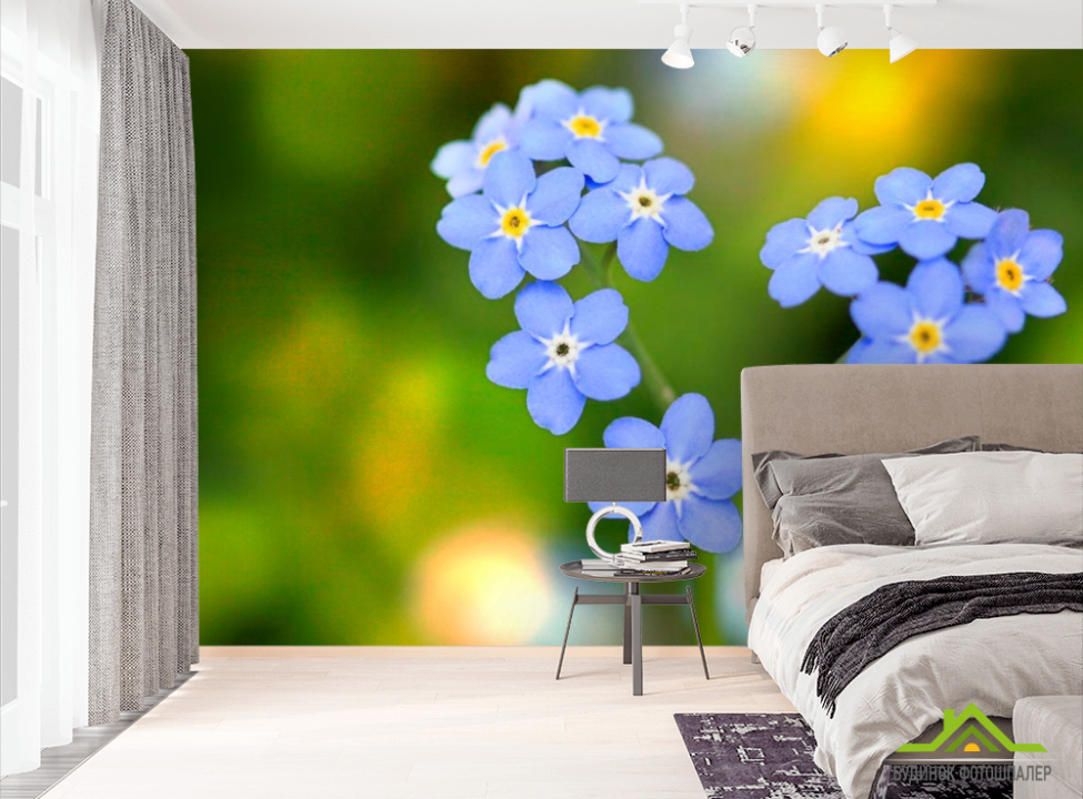выбрать Фотообои Васильки Фотообои Цветы на стену