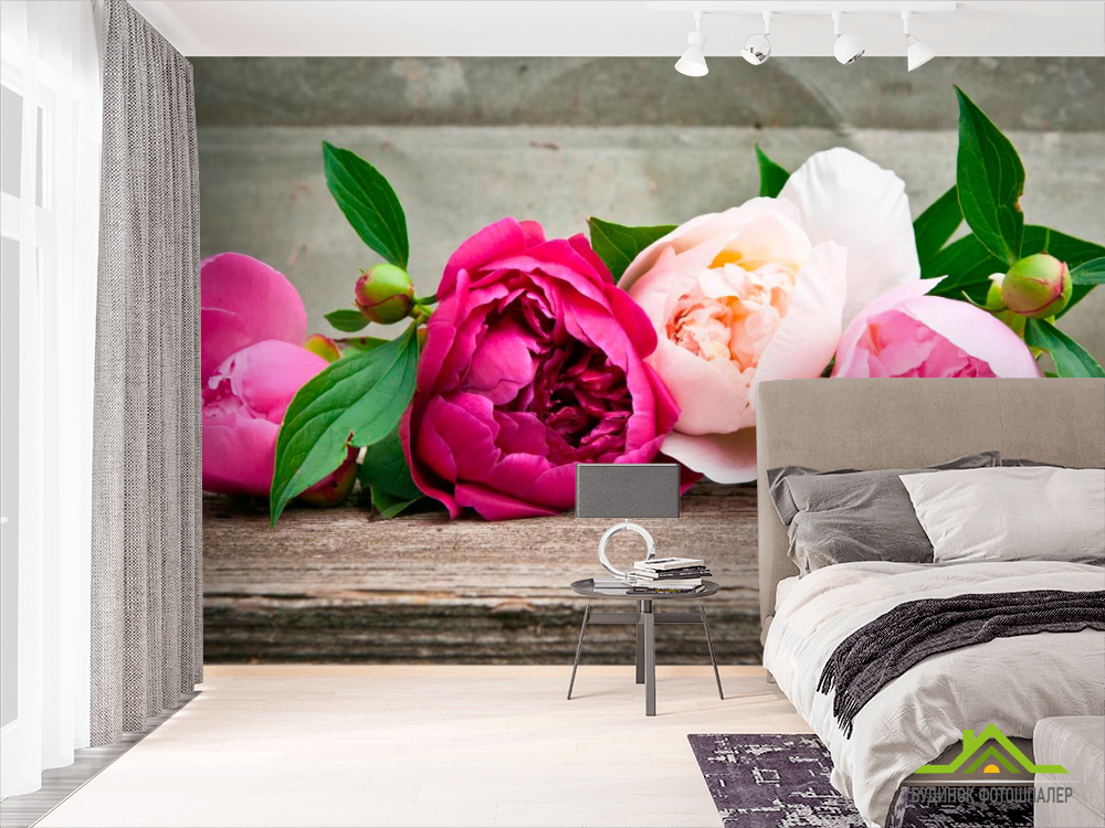 Фотошпалери Півонії