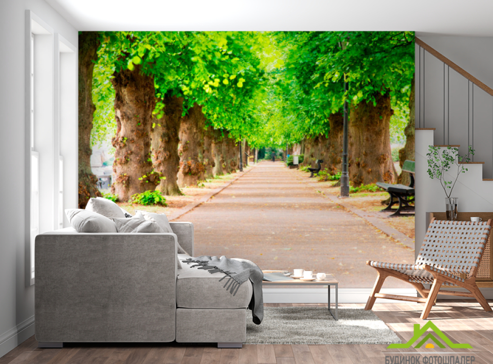 выбрать Фотообои Тоннель из деревьев Фотообои Расширяющие пространство на стену