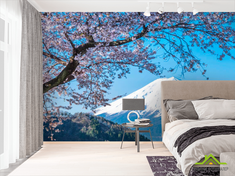 Фотообои Гора, снег,цвет