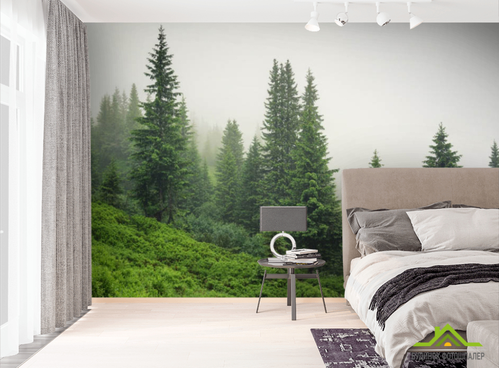 выбрать Фотошпалери ліс в тумані Фотошпалери різні на стіну