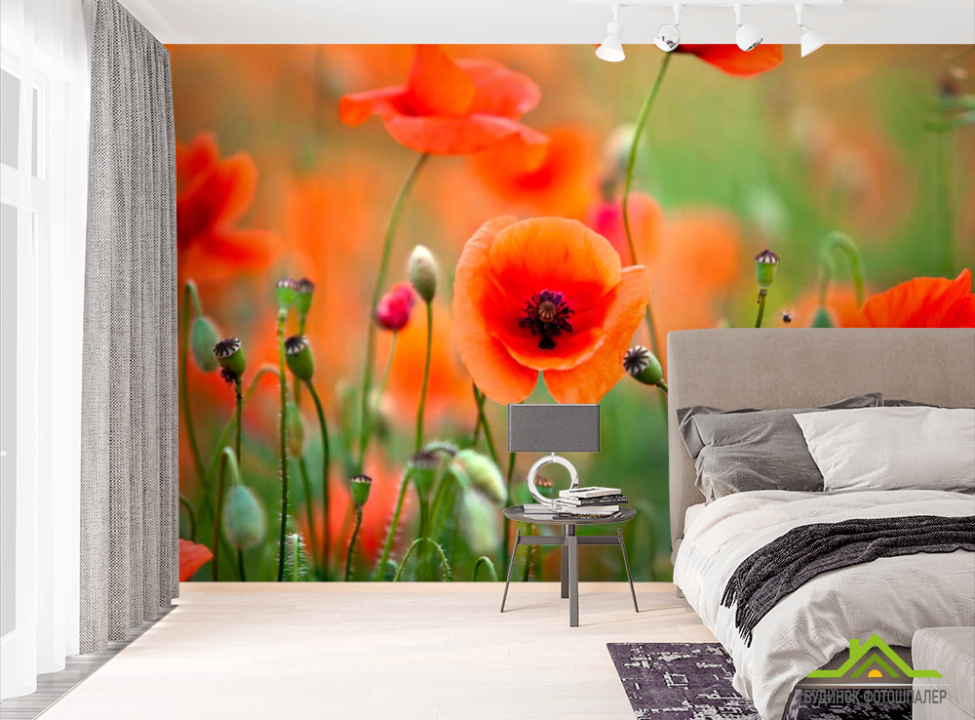 выбрать Фотообои Поле и маки Фотообои Цветы на стену