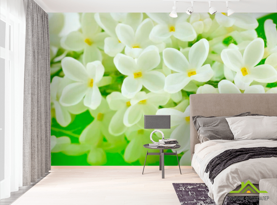 выбрать Фотообои Маленькие беленькие цветочки Фотообои Цветы на стену