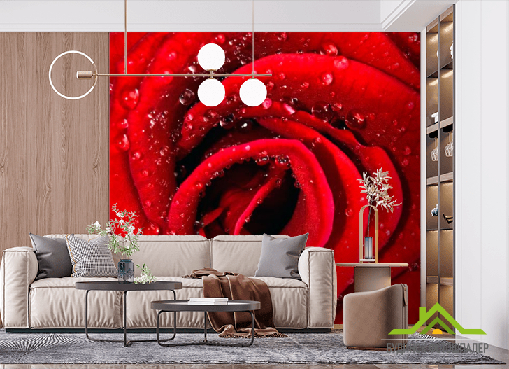 Фотошпалери Роза червона в росі