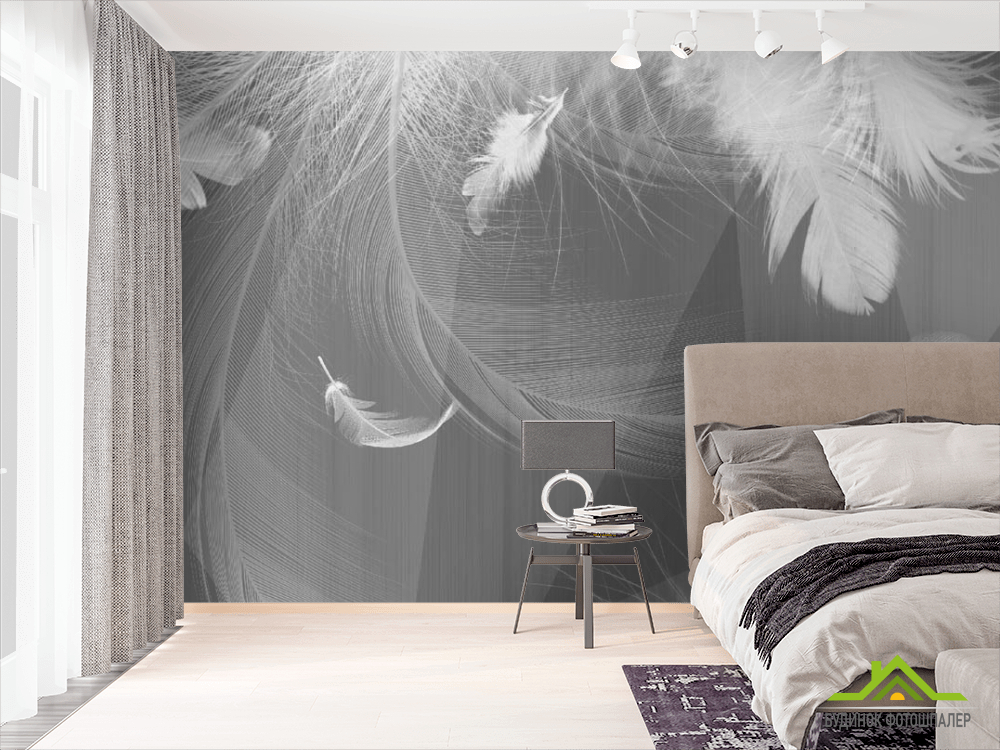 Фотошпалери ч / б пір'я