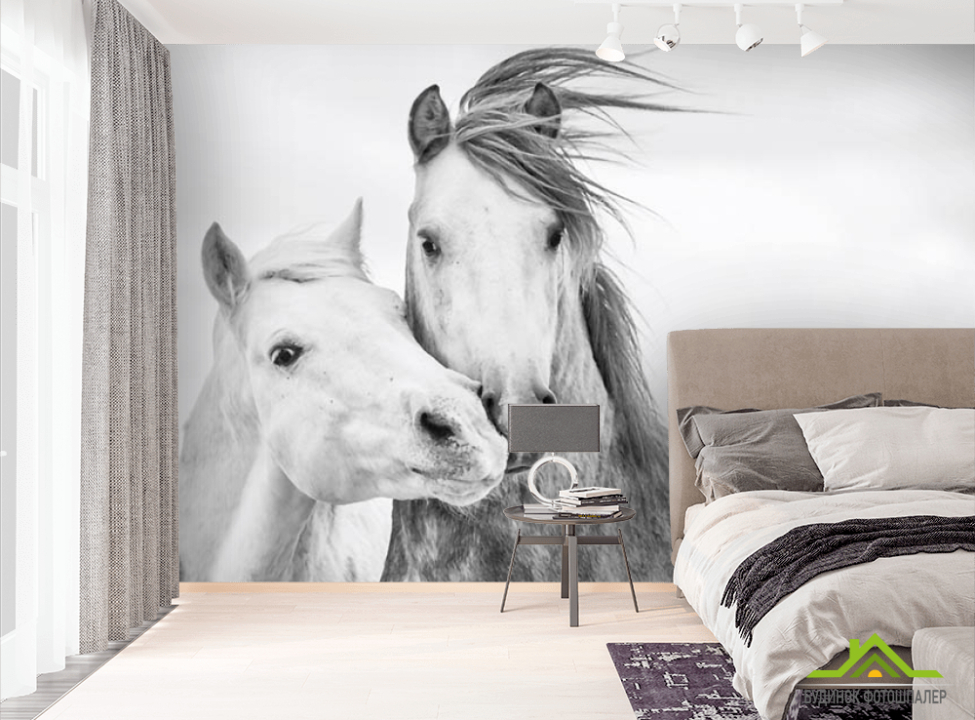 выбрать Фотообои лошадки Фотообои разные на стену