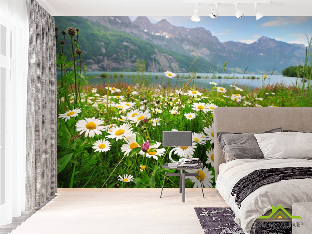 Фотообои ромашки и горы