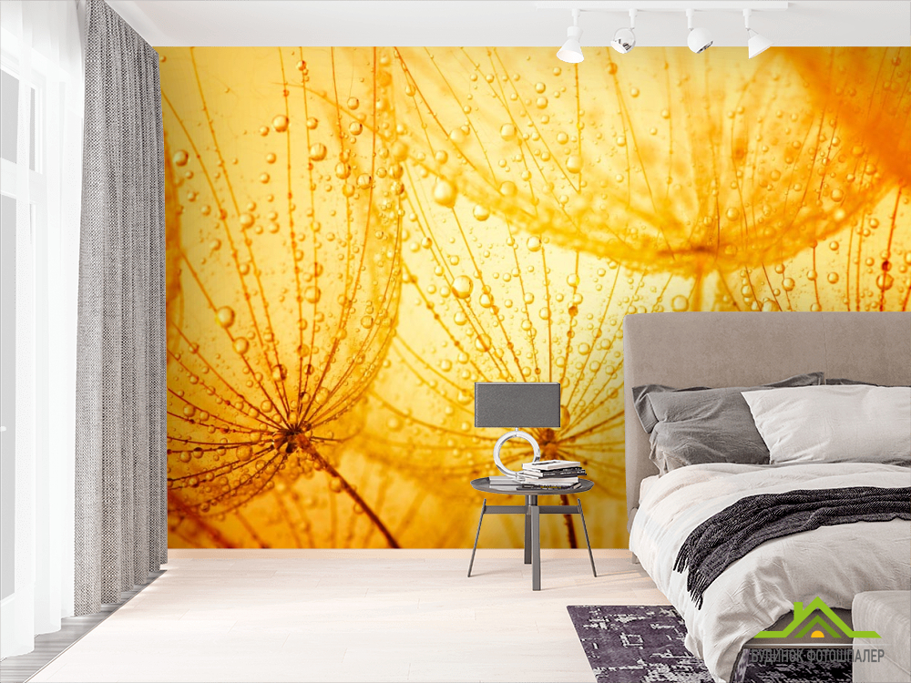 Фотообои оранжевый одуванчик