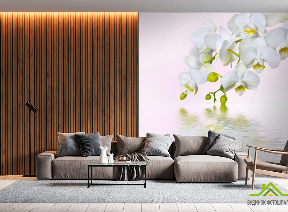 выбрать Фотообои белая орхидея над водой Фотообои Цветы на стену