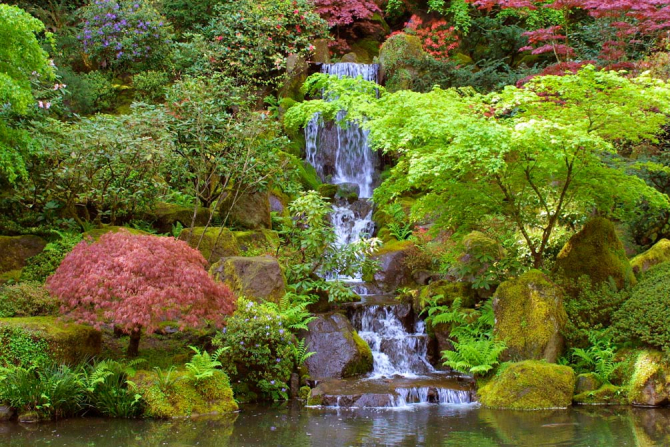 Фотообои Водопад, озерцо