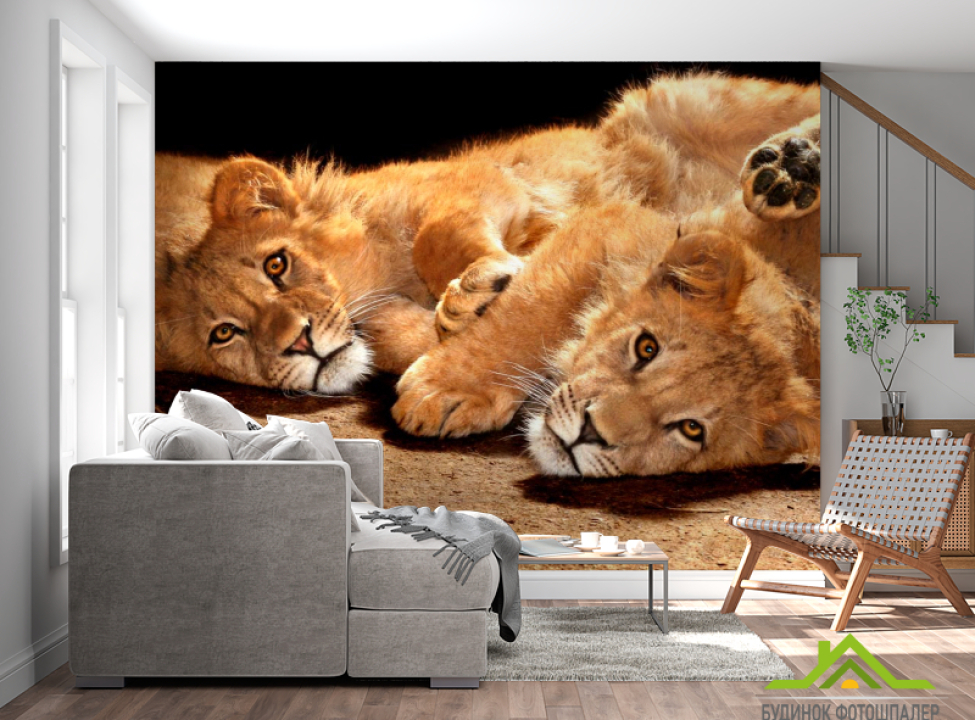 выбрать Фотошпалери Левенята Фотошпалери Леви на стіну