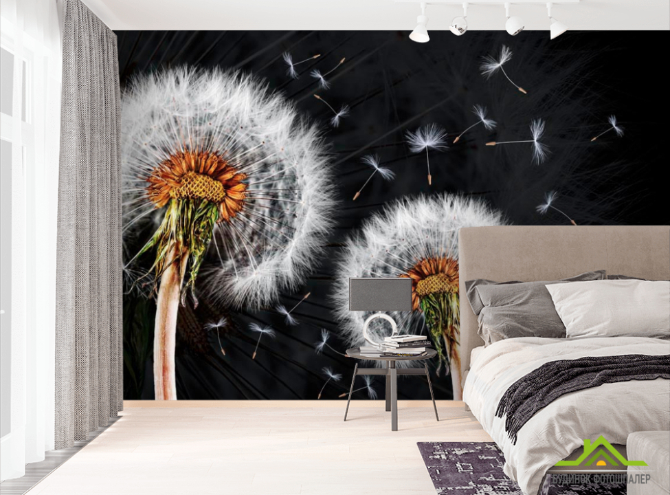 выбрать Фотообои Одуванчики Фотообои Одуванчики на стену