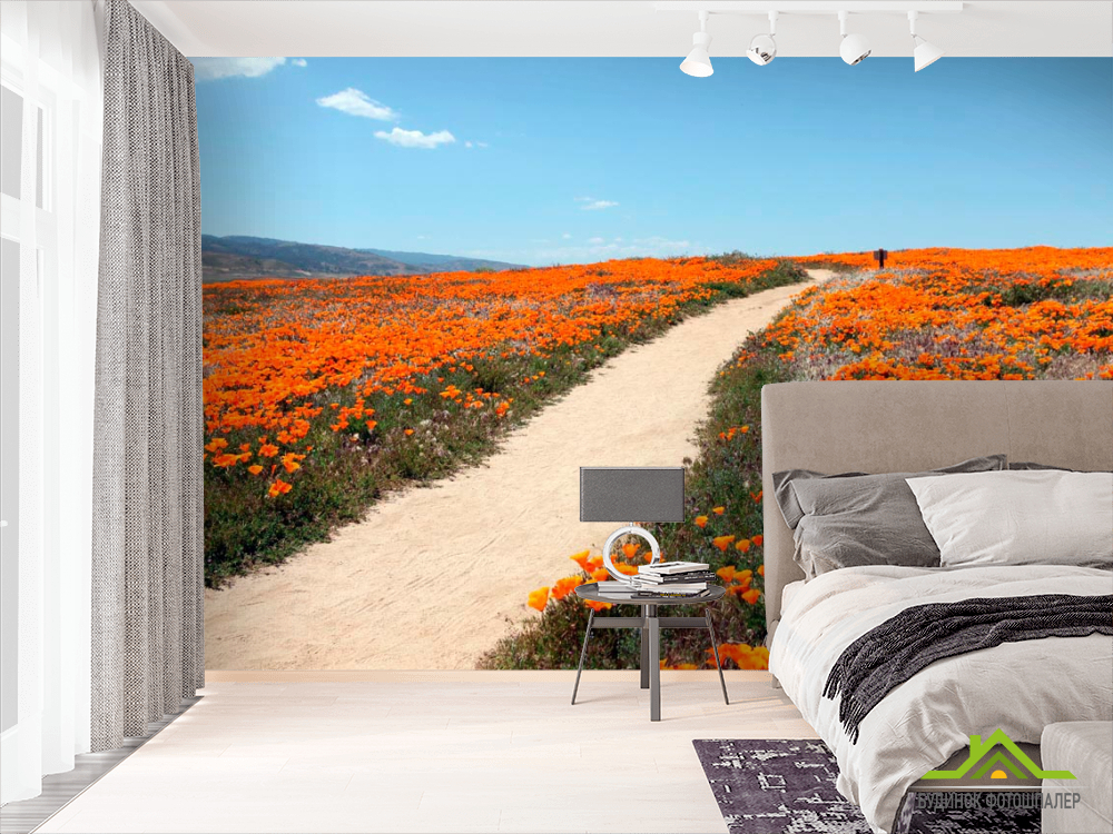Фотошпалери Стежка, мак
