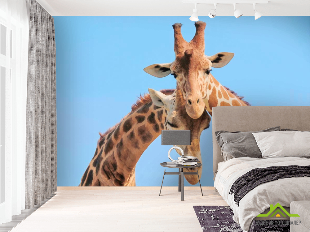 Фотообои Две жирафы
