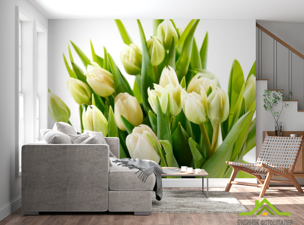 выбрать Фотообои Тюльпаны Фотообои Тюльпаны на стену