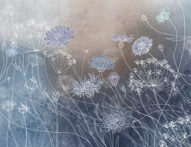 Фотошпалери сині волошки