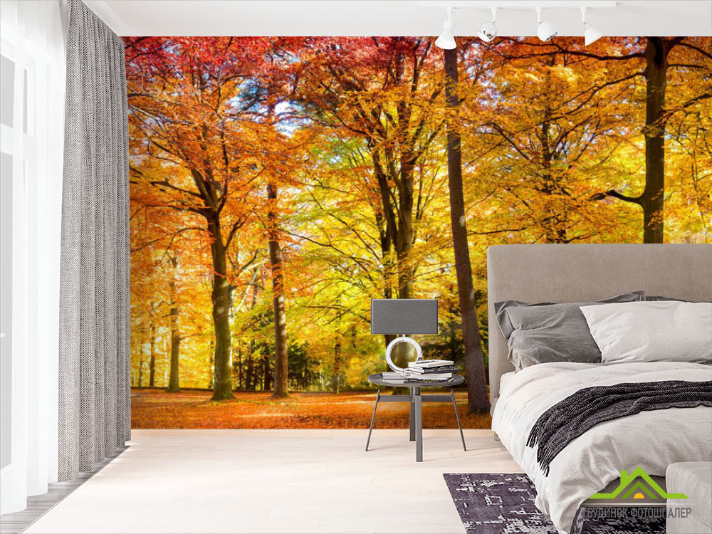 Фотошпалери Осінній ліс