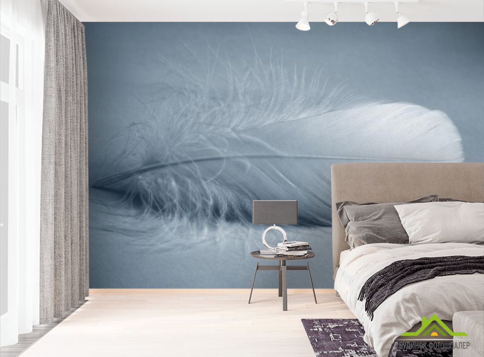 выбрать Фотошпалери перо Фотошпалери пір'я на стіну