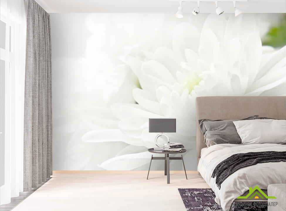 выбрать Фотошпалери Білі хризантеми Фотошпалери Квіти на стіну