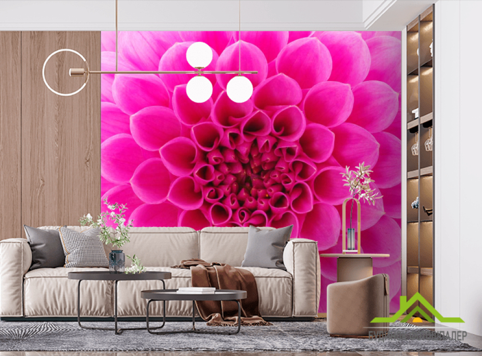выбрать Фотошпалери Стільниковий квітка малиновий Фотошпалери Квіти на стіну