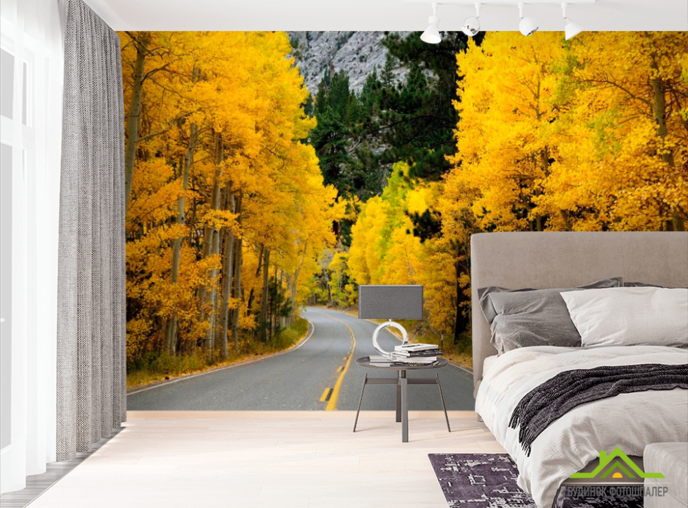 выбрать Фотообои Дорога в осень Фотообои лес на стену