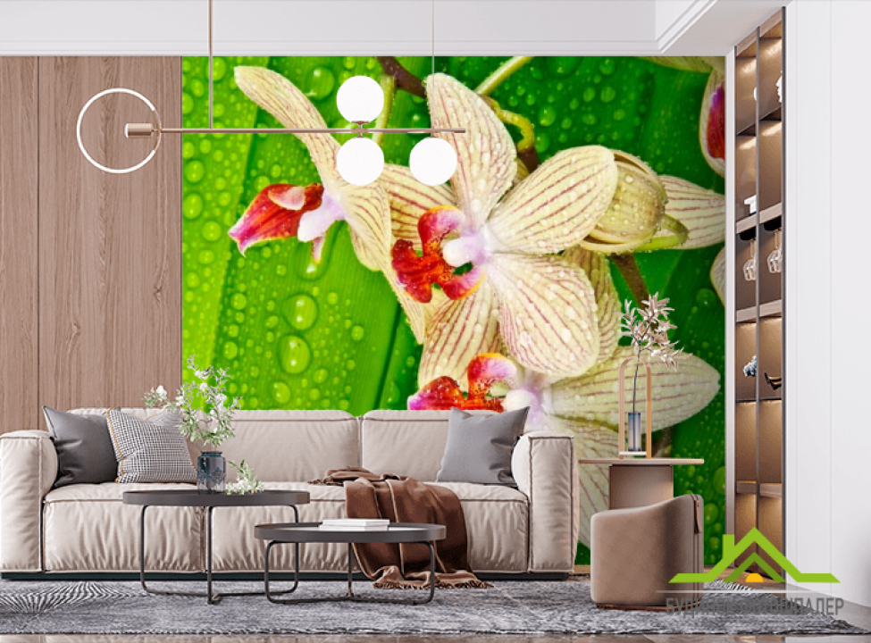 выбрать Фотообои Орхидеи на листе Фотообои Орхидеи на стену