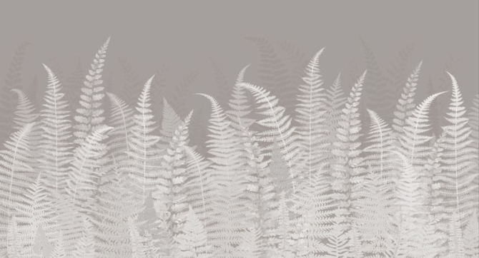 Фотошпалери листя папороті сірі
