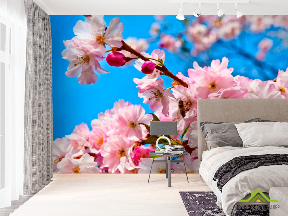 Фотообои Соцветия шиповника