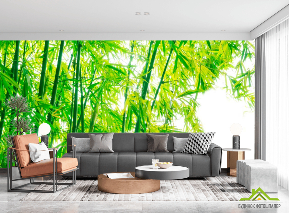 выбрать Фотообои Детки, бамбук Фотообои лес на стену
