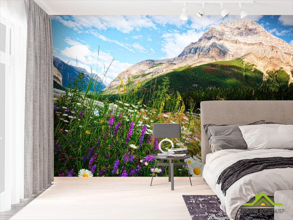 Фотообои Гора, небо, ромашки