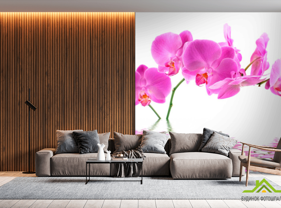 выбрать Фотообои В воде орхидеи Фотообои Орхидеи на стену