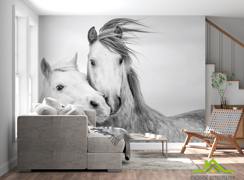 выбрать Фотообои лошадки Фотообои разные на стену