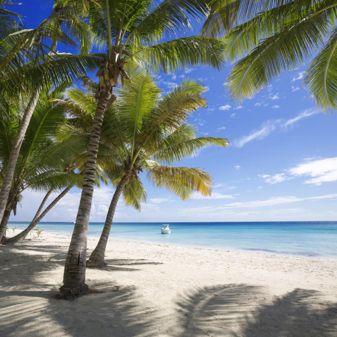 Фотошпалери тінь від пальм на березі моря